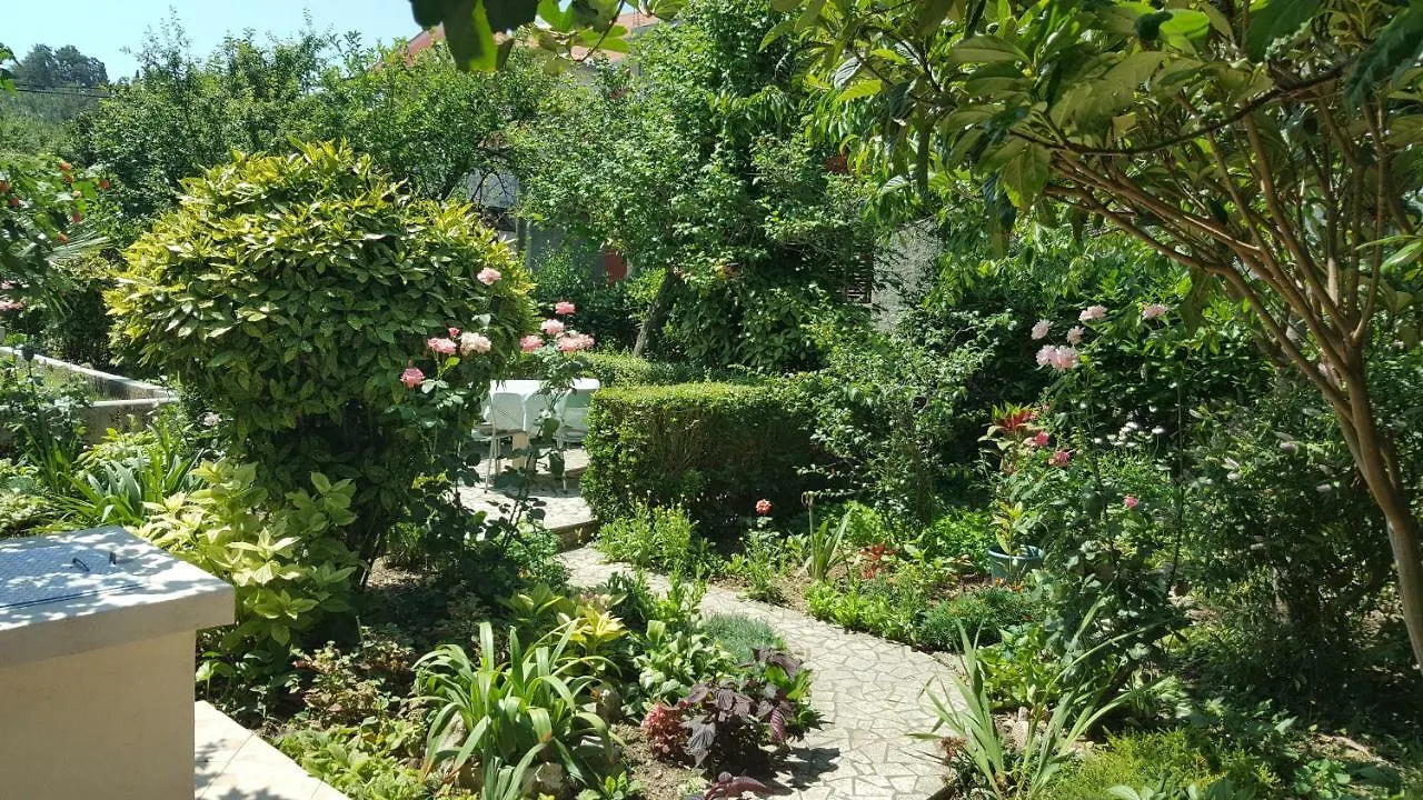 Apartman Marija Palit Kroatien